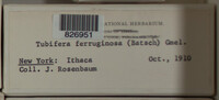 Image Associated With the Occurence